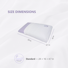 Load image into Gallery viewer, Pillow with size dimensions labeled on a white background